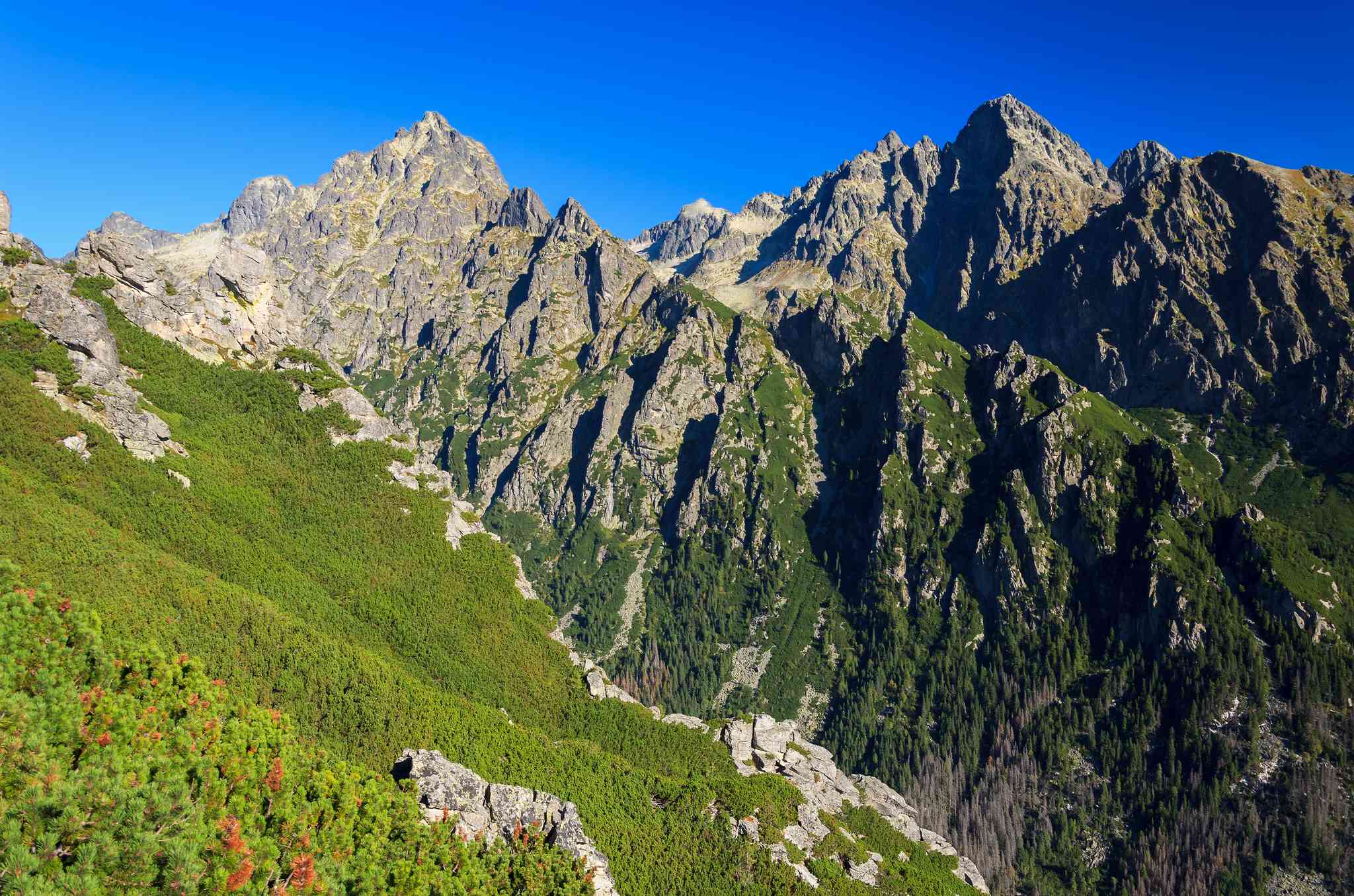 Vista panorámica de Budapest - excursión privada de un día desde Stary Smokovec - foto 10