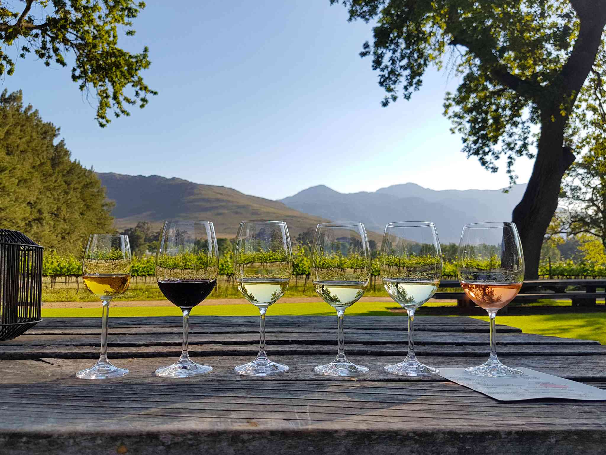 Scenic view of Stellenbosch - private day trip from Cape Town - photo 4