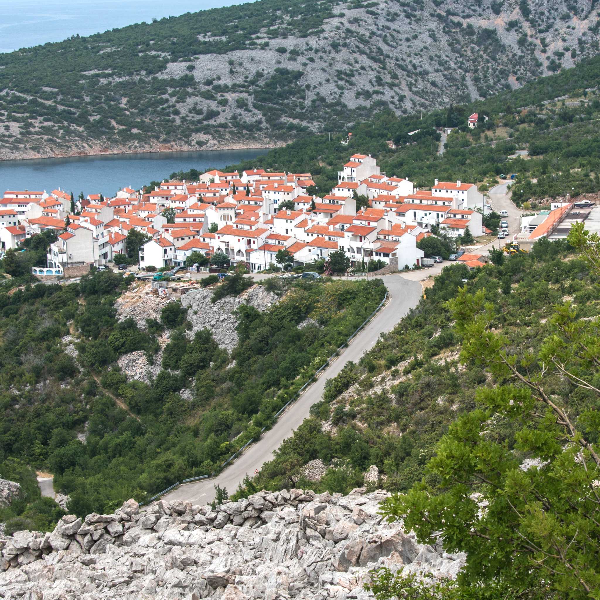 Stinica
