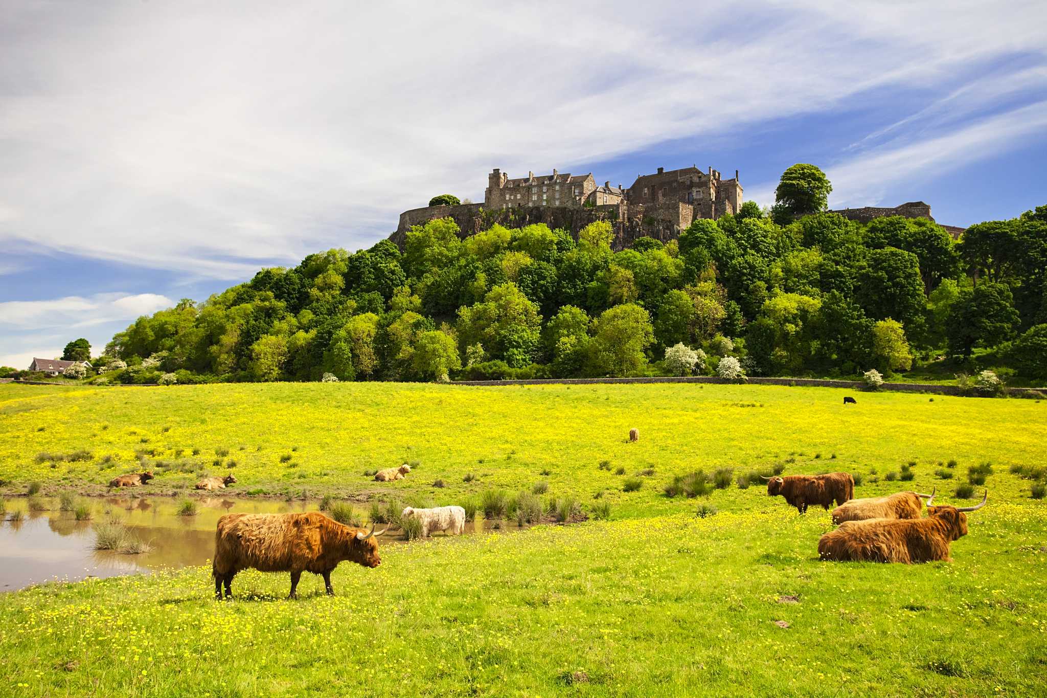 Itinerary stop at Stirling Castle on private day trip from Edinburgh
