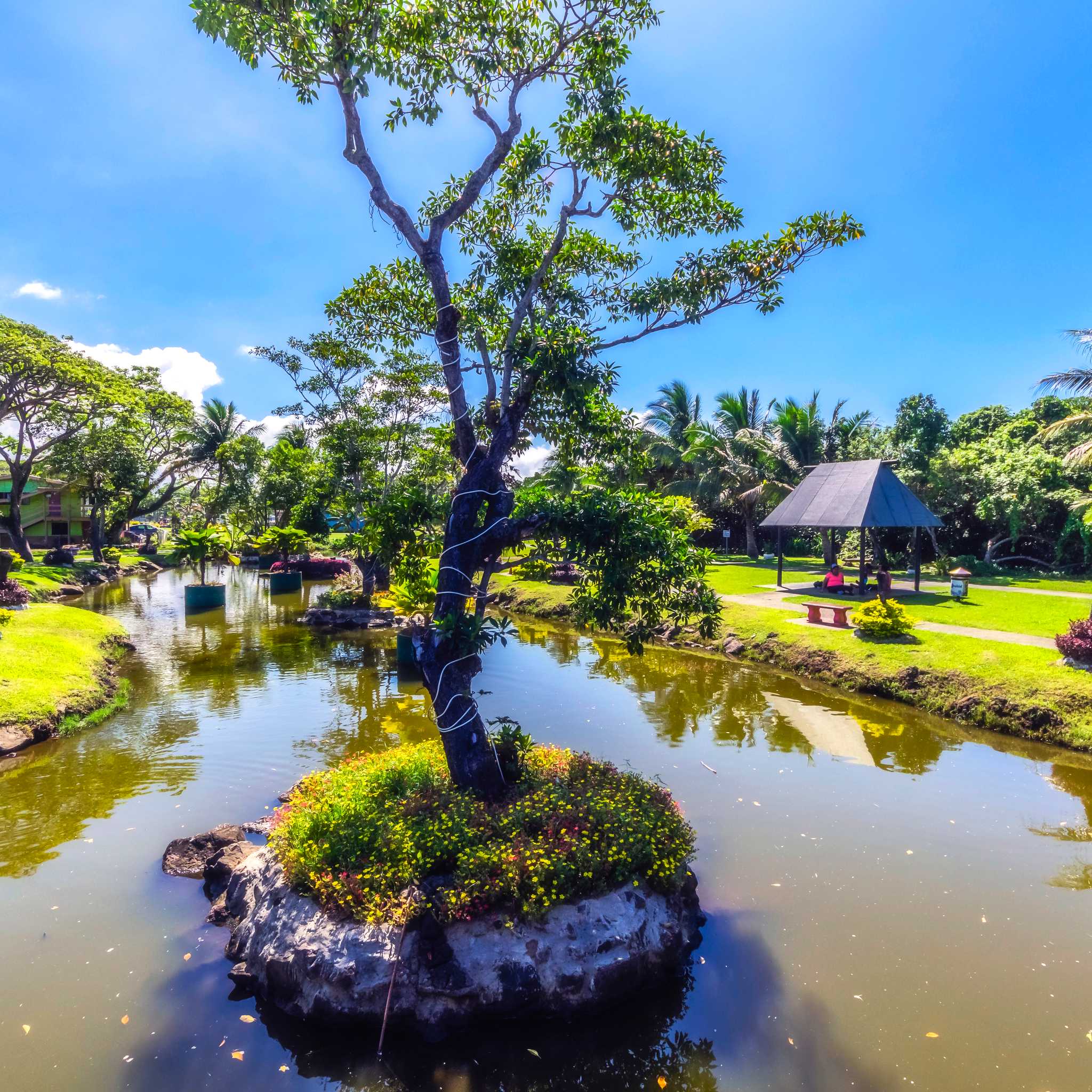 Private car transfers in Fiji from Suva