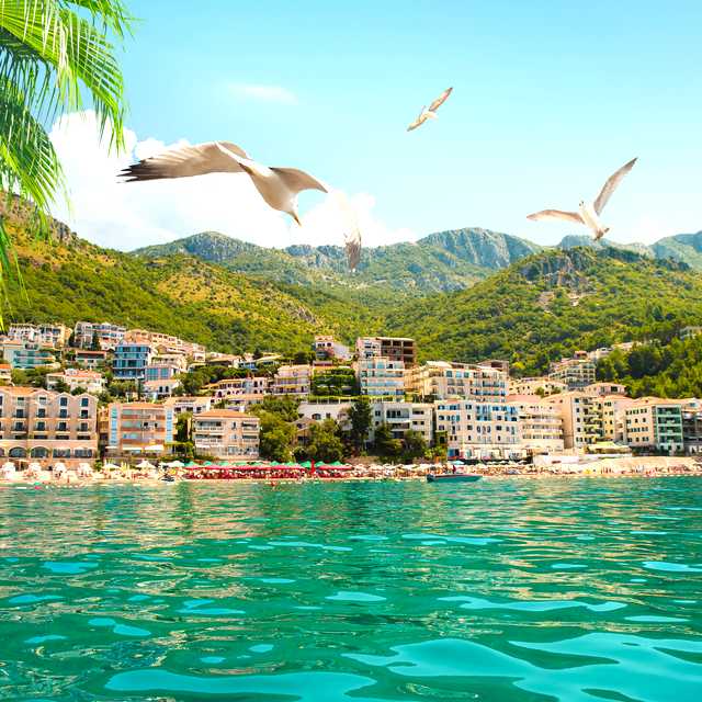 Podgorica to Budva and Sveti Stefan: Private day trip