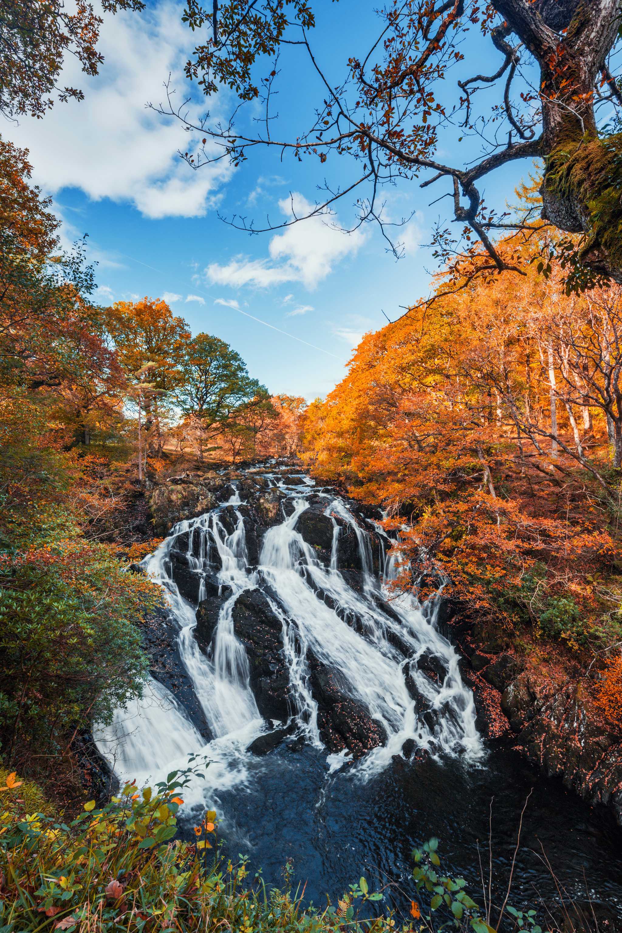 Waterfalls stream down over large boulders among a forest of orange trees.