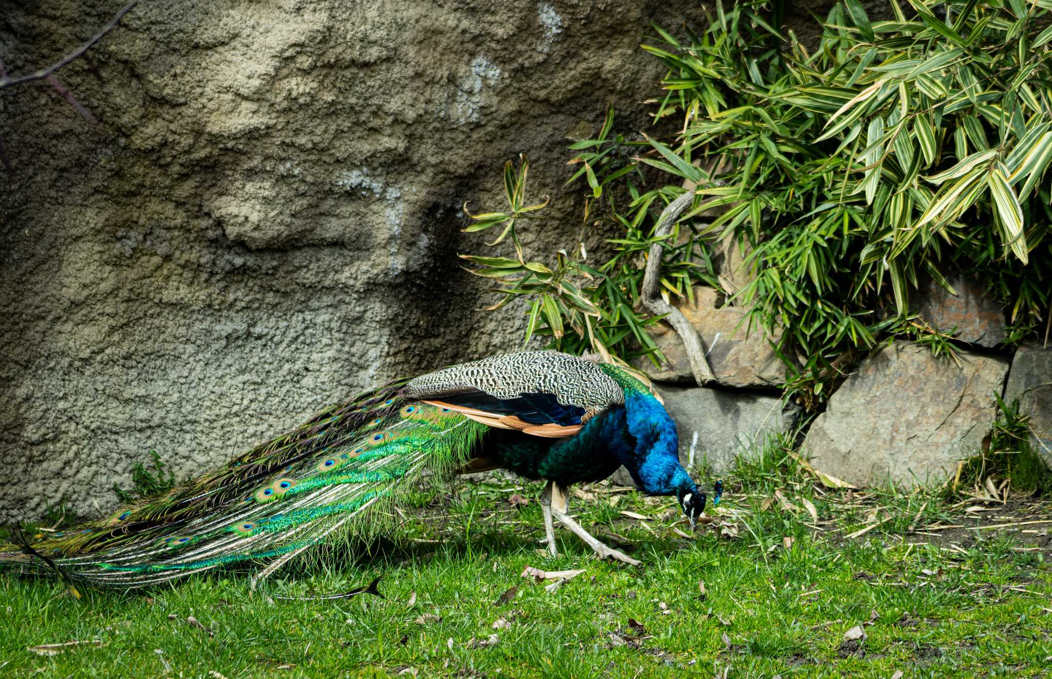 Itinerary stop at Ta' Qali National Park on private day trip from St. Julian's