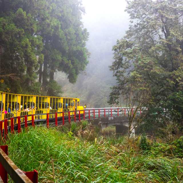 Taipei to Taipingshan National Forest and Yilan: Day trip