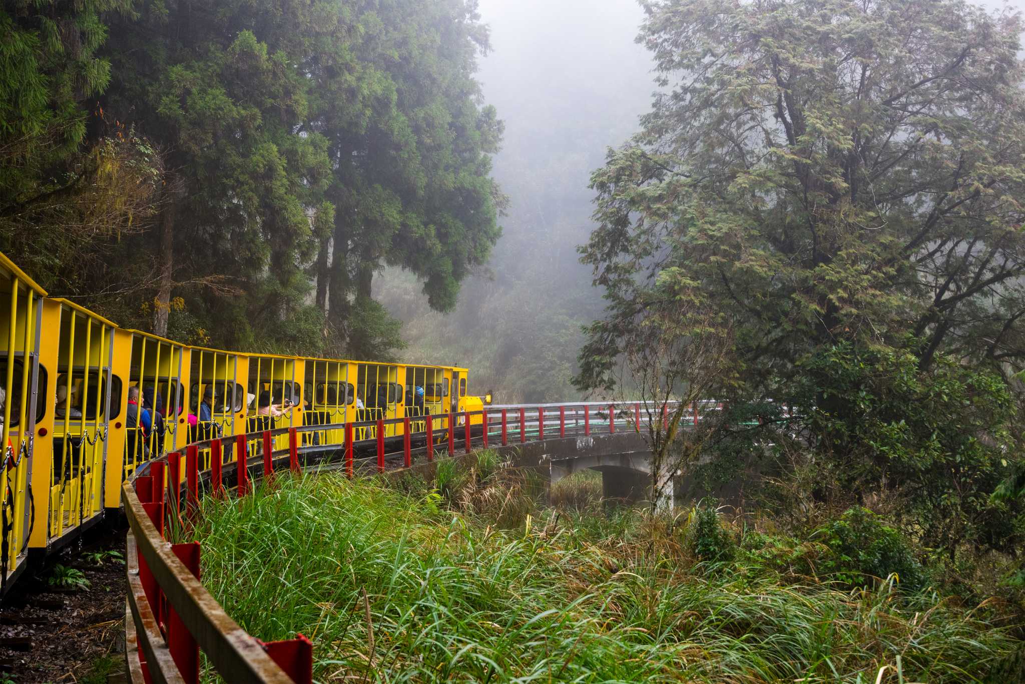 Private car transfer services in Taipingshan National Forest Recreation Area - scenic view on Taipingshan National Forest Recreation Area in Taiwan