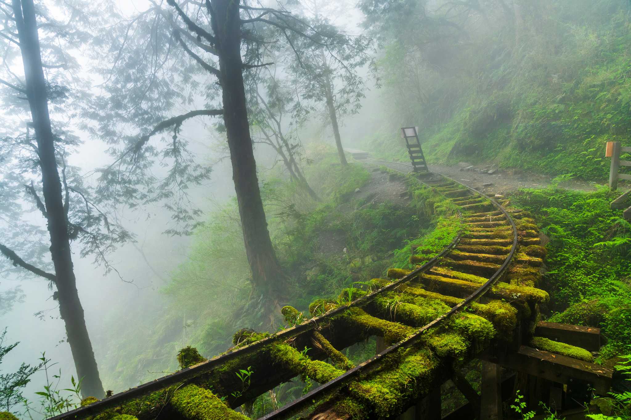 Itinerary stop at Taipingshan National Forest Recreation Area on private day trip from Taipei