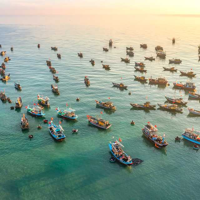 Hue to Tam Ky and Chu Lai: Private day trip