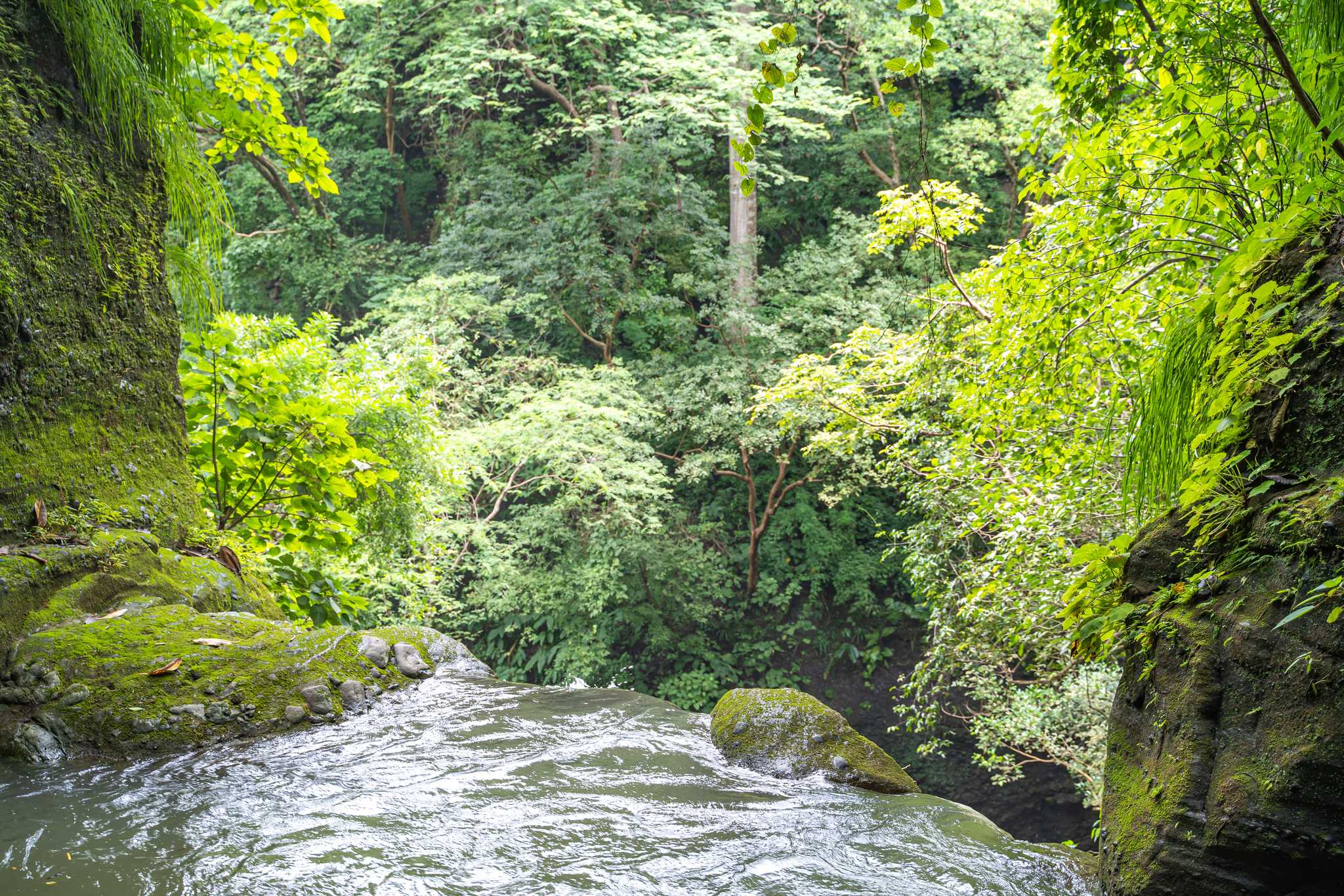 Arrêt de l'itinéraire à Tamanique Waterfalls lors d'une excursion privée d'une journée depuis San Salvador