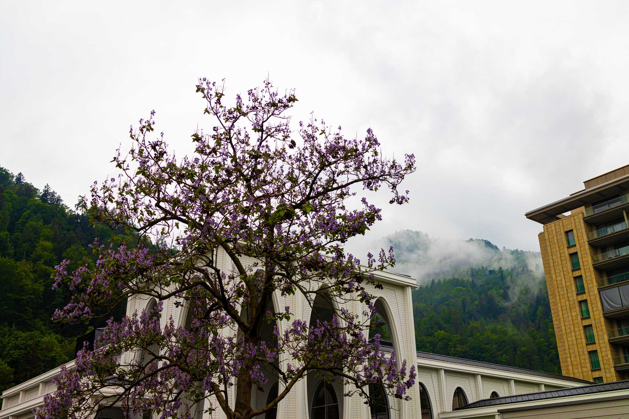 Itinerary stop at Tamina Therme on private day trip from Zurich