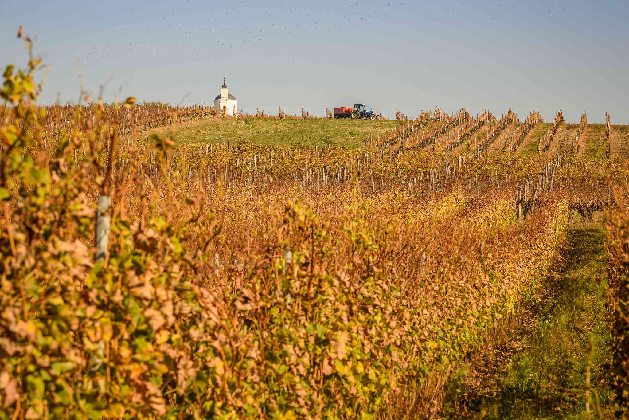 Scenic view of Tarcal - private day trip from Budapest - photo 2