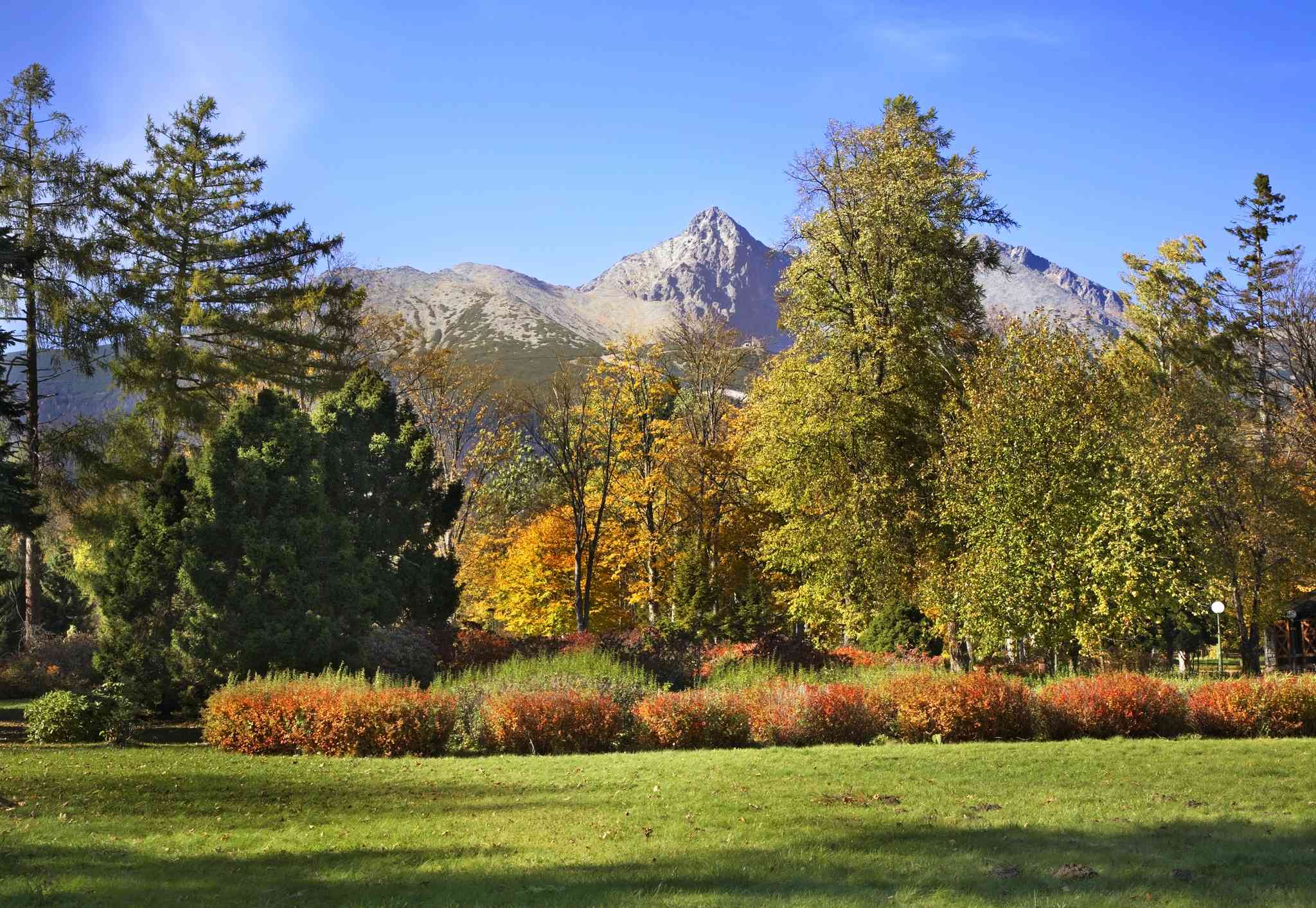 Scenic view of Tatranska Lomnica - private day trip from Zakopane - photo 4