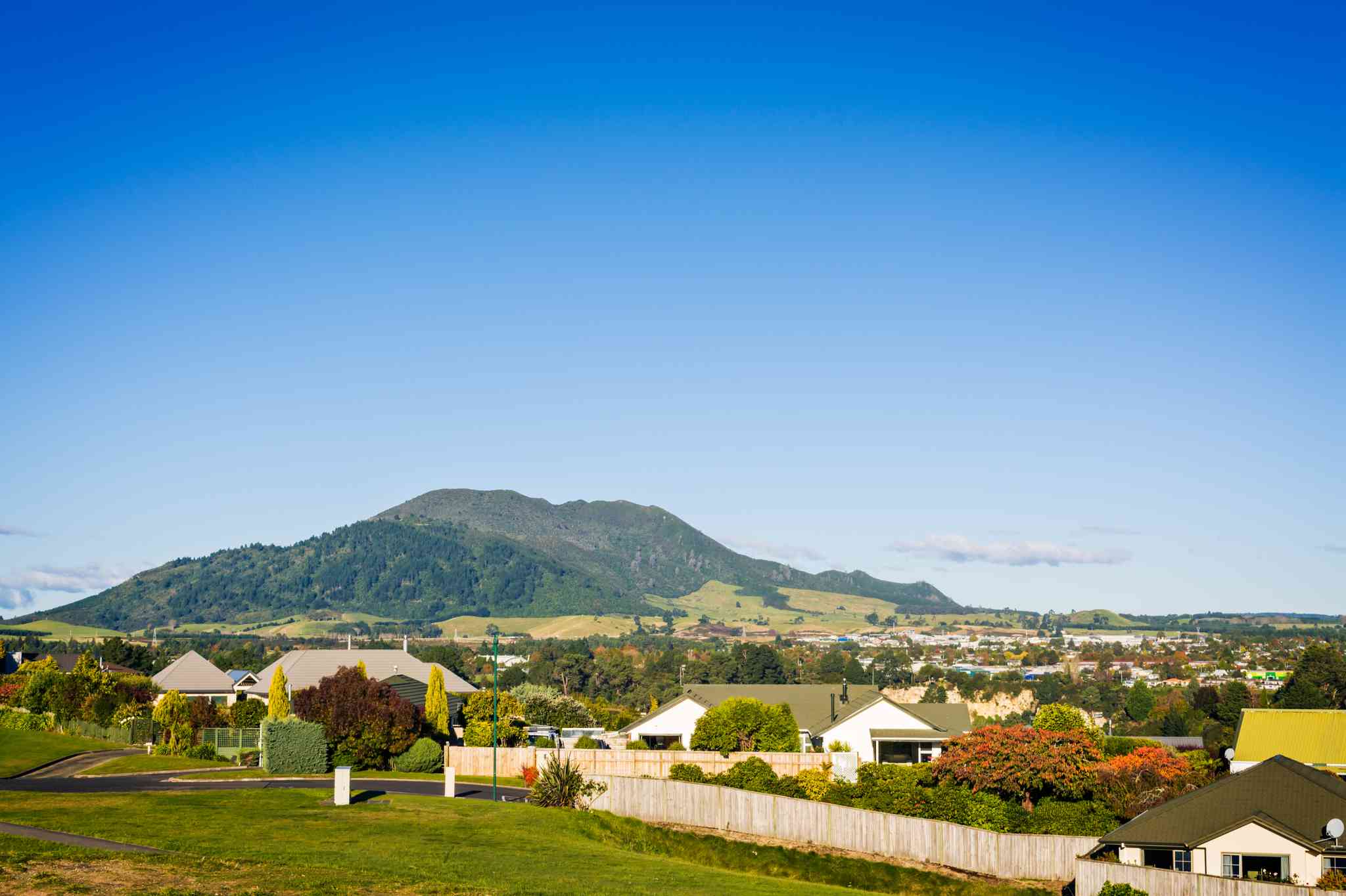 Blick auf die Landschaft von Wellington Airport - private Tagesreise von Taupo - Foto 4