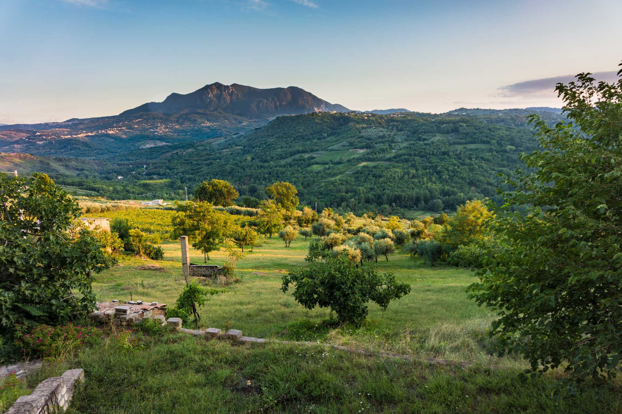 Private Autotransferdienste in Taurasi - malerische Aussicht auf Taurasi in Italien