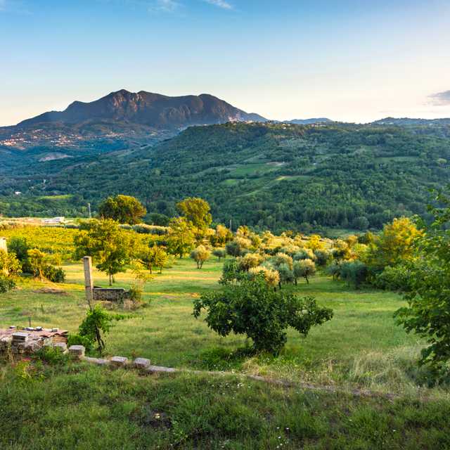 Naples to Irpinia Wine Region: Private day trip