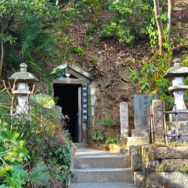 Tokyo to Taya Caves and Yokohama: Private day trip