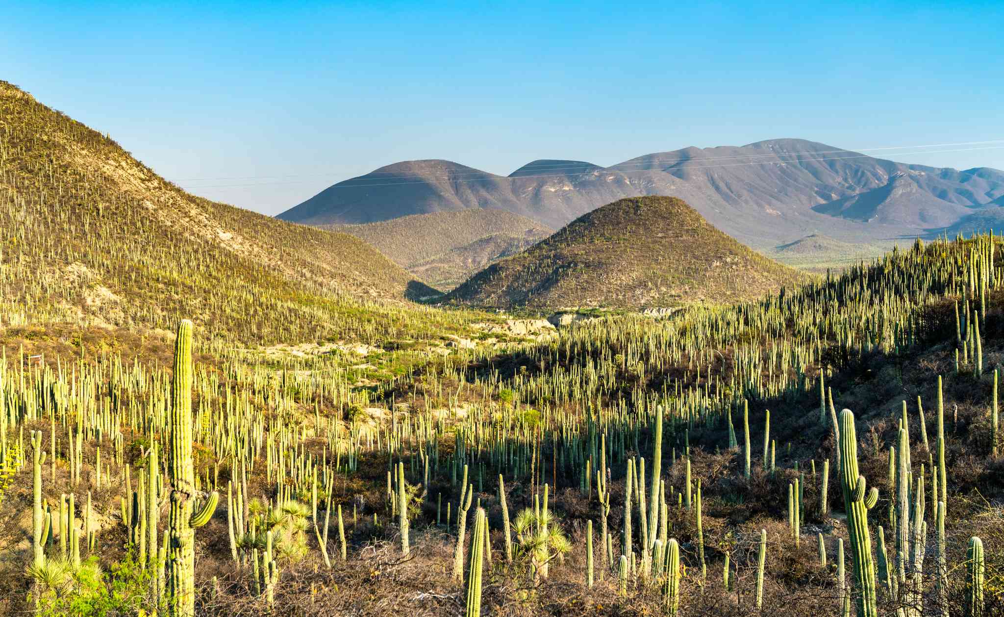 Vacker vy över Puebla - privat dagsutflykt från Tehuacan - foto 6