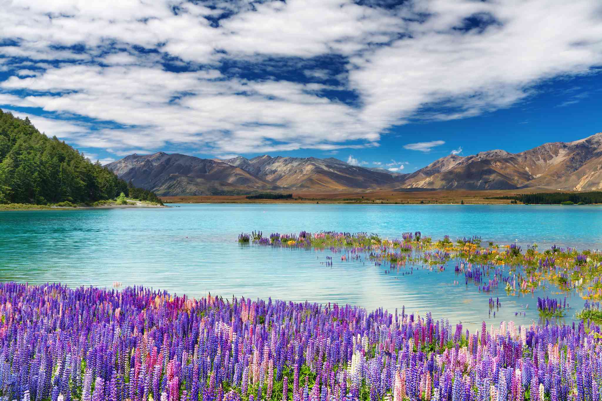 Vacker vy över Tekapo - privat dagsutflykt från Queenstown - foto 2