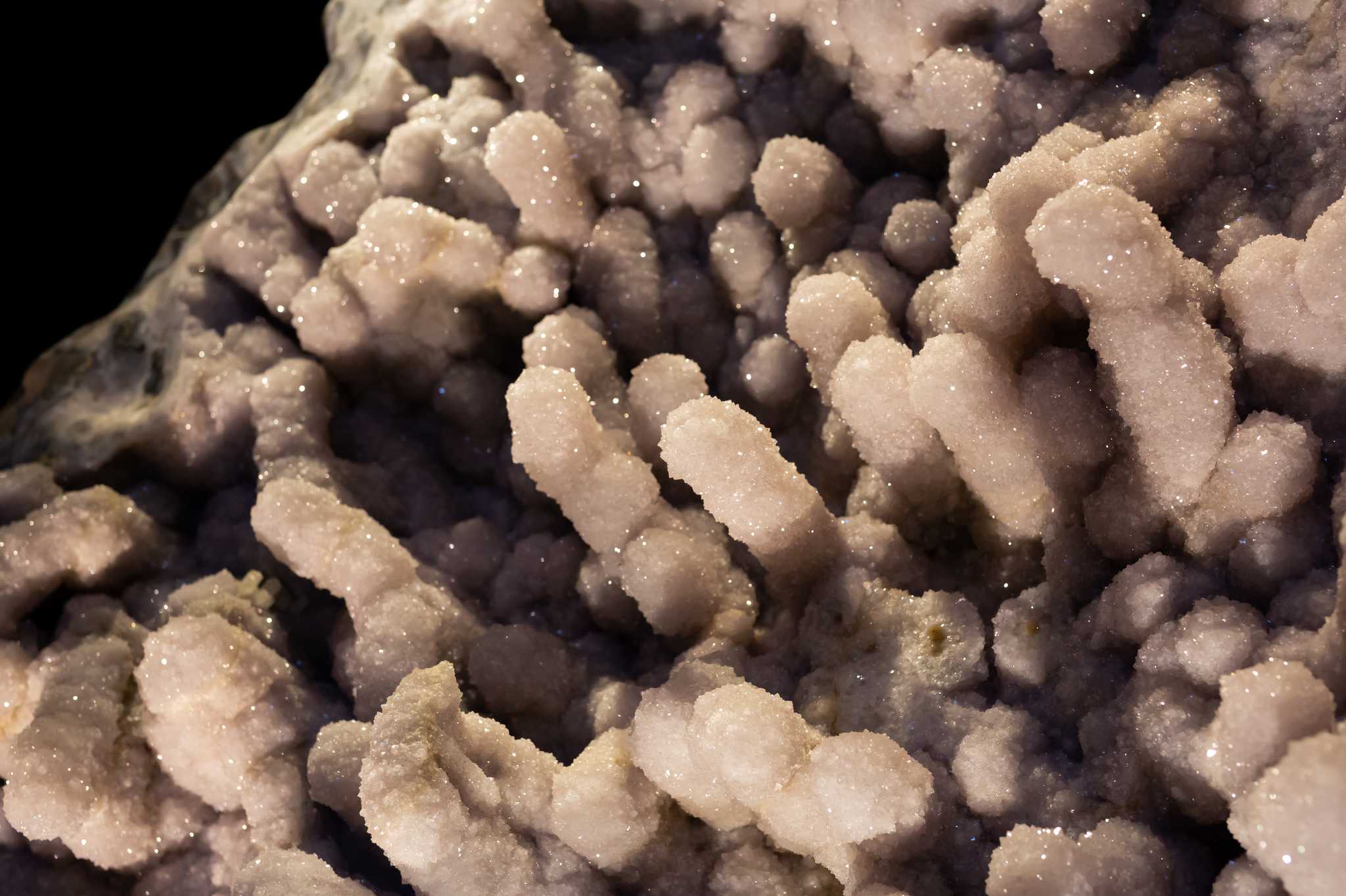 Visit Tellus Science Museum on the way from bradenton-fl-us to chattanooga-tn-us with Daytrip