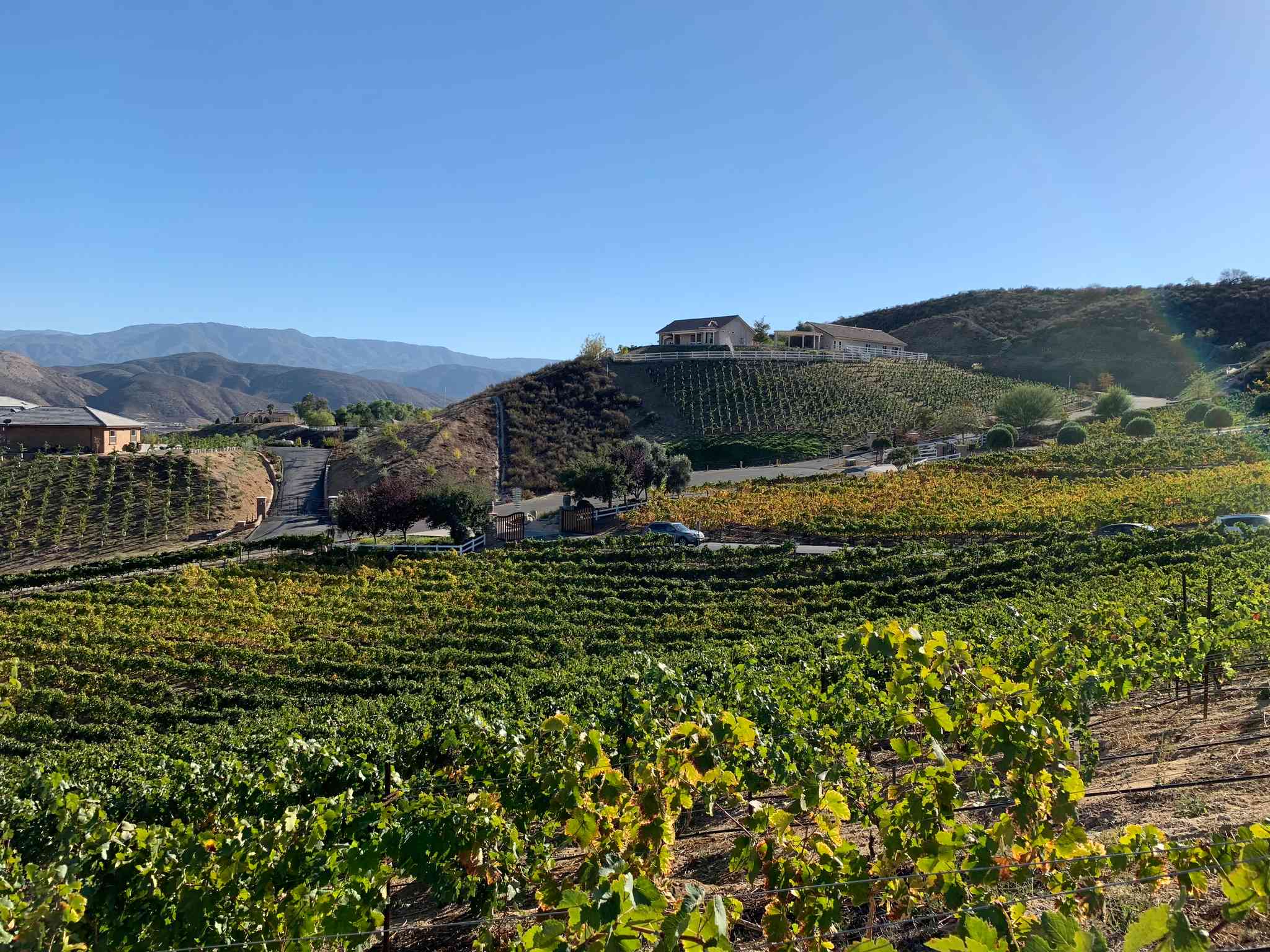 Scenic view of San Diego - private day trip from Temecula - photo 7