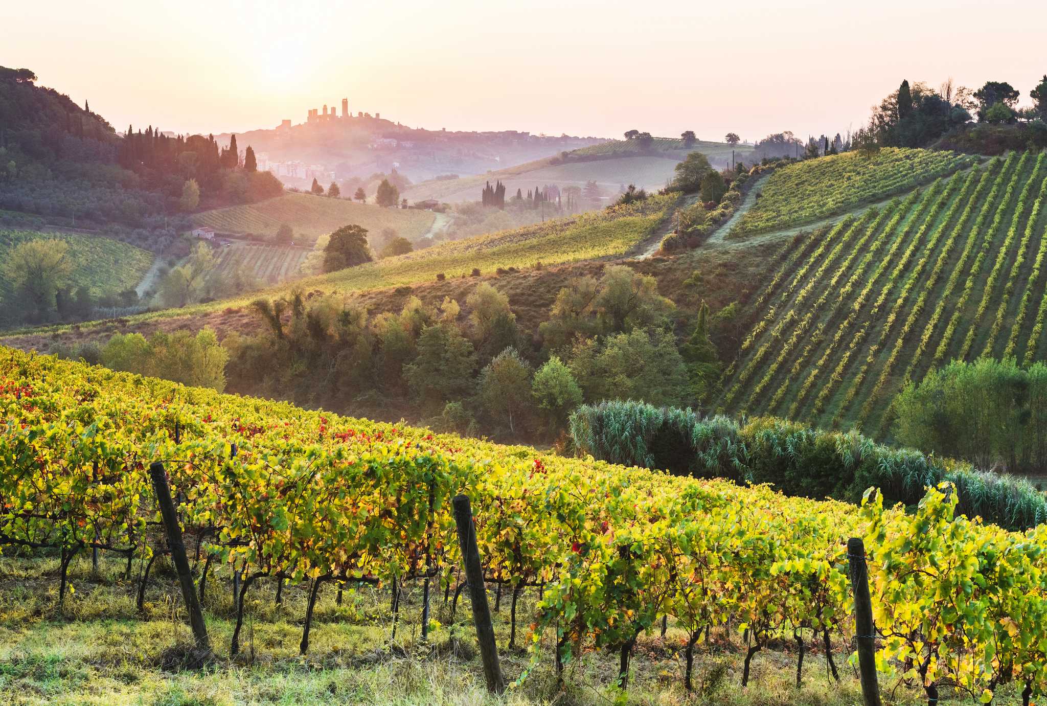 Private Autotransferdienste in Tenuta Torciano Cantina - malerische Aussicht auf Tenuta Torciano Cantina in Italien