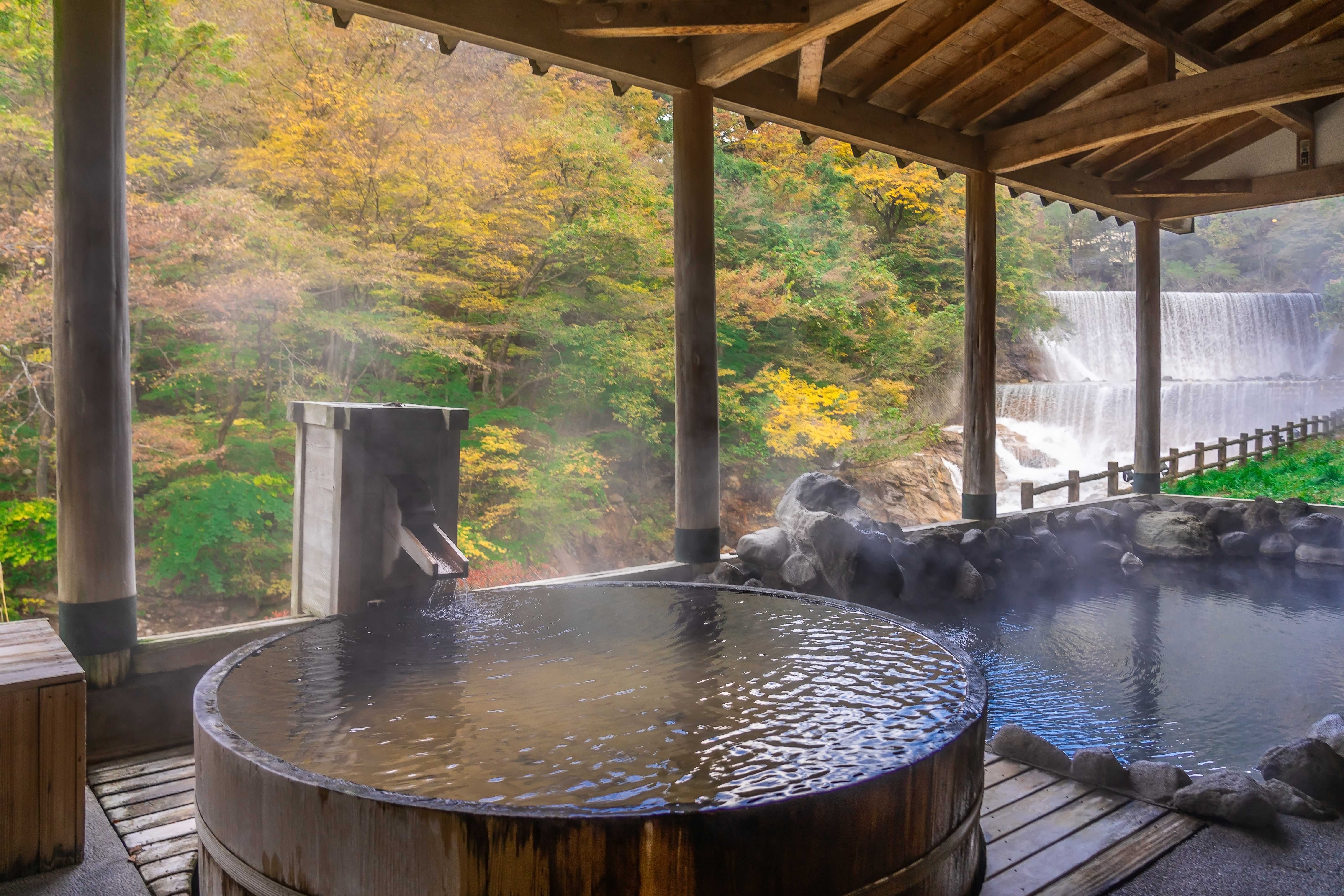 Private Day Trip from Tokyo to Tenzan Onsen and Back
