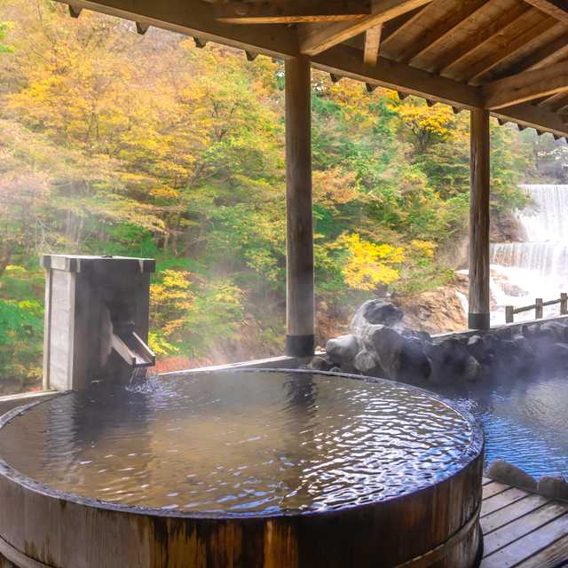 Tokyo to Tenzan Onsen: Private day trip