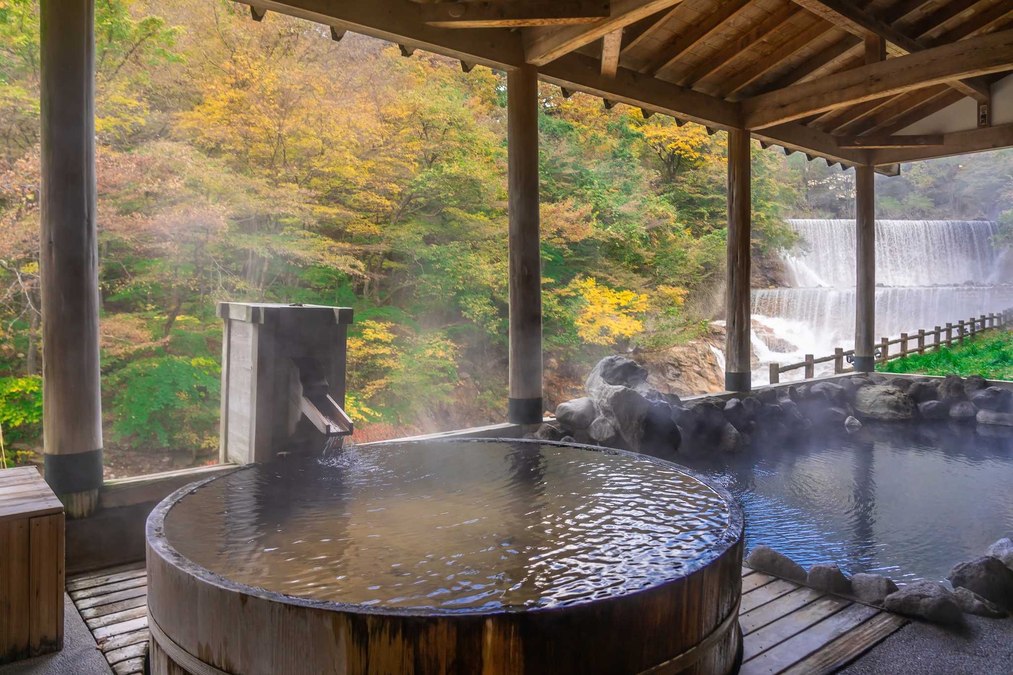 Tenzan Onsen पर निजी दिन की यात्रा में यात्रा ठहराव Tokyo से