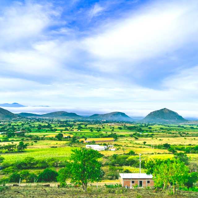 Oaxaca to Teotitlan del Valle and Tlacolula: Day trip