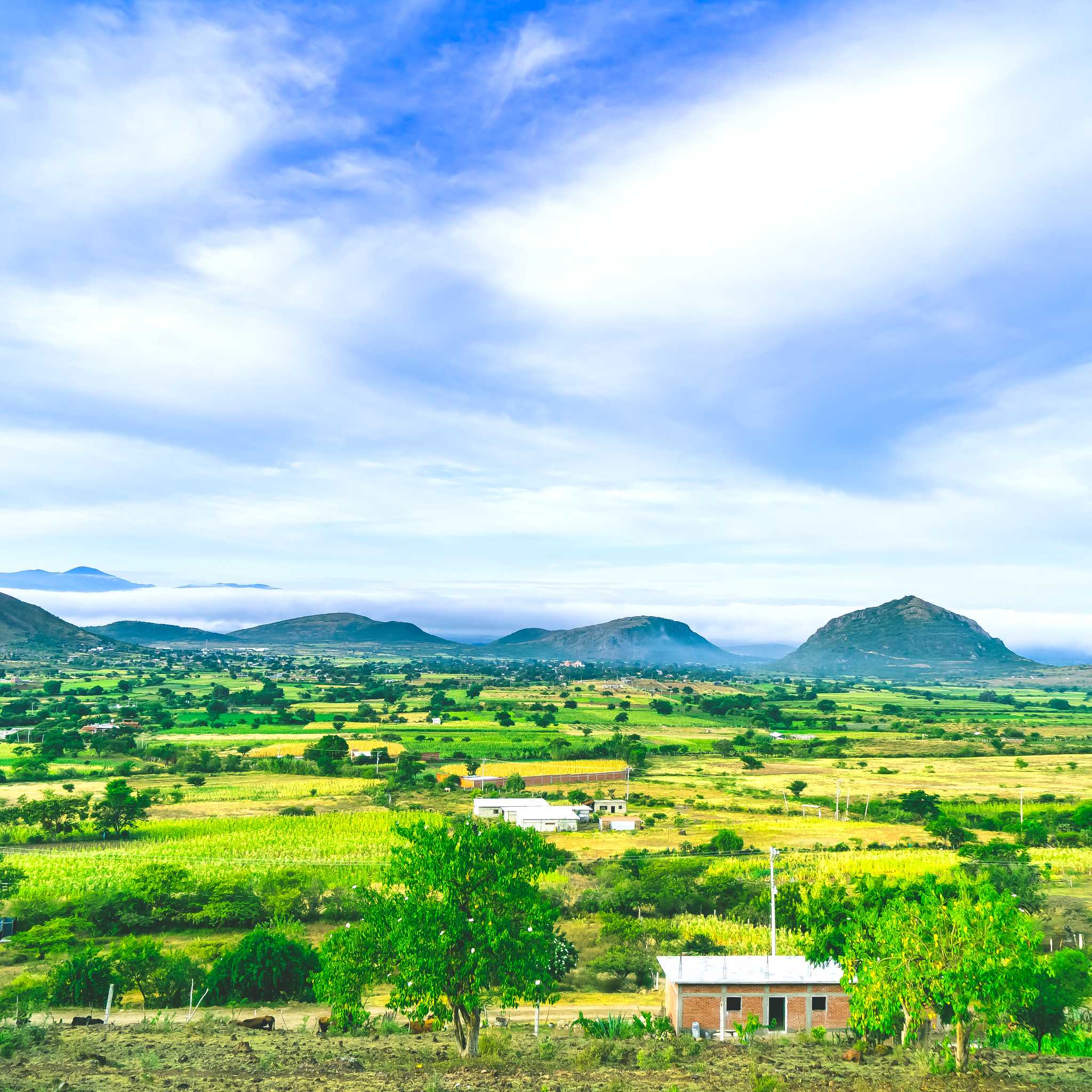 Teotitlan del Valle