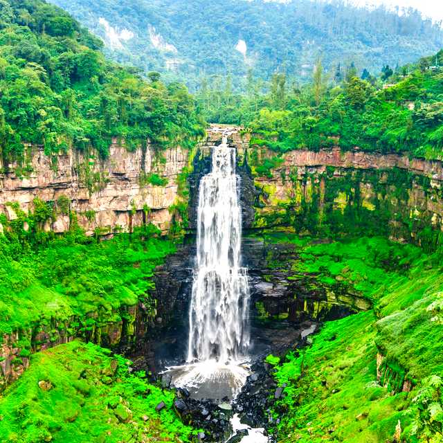 Bogota to Hacienda Coloma and Tequendama Falls: Day trip