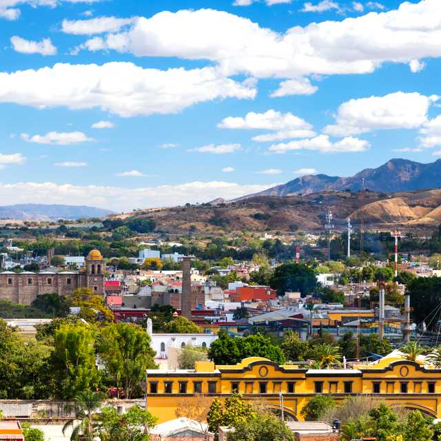 Guadalajara to Tequila and Destileria La Rojena: Day trip