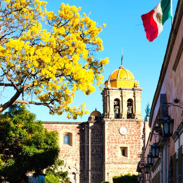 Puerto Vallarta to Tequila: Private day trip