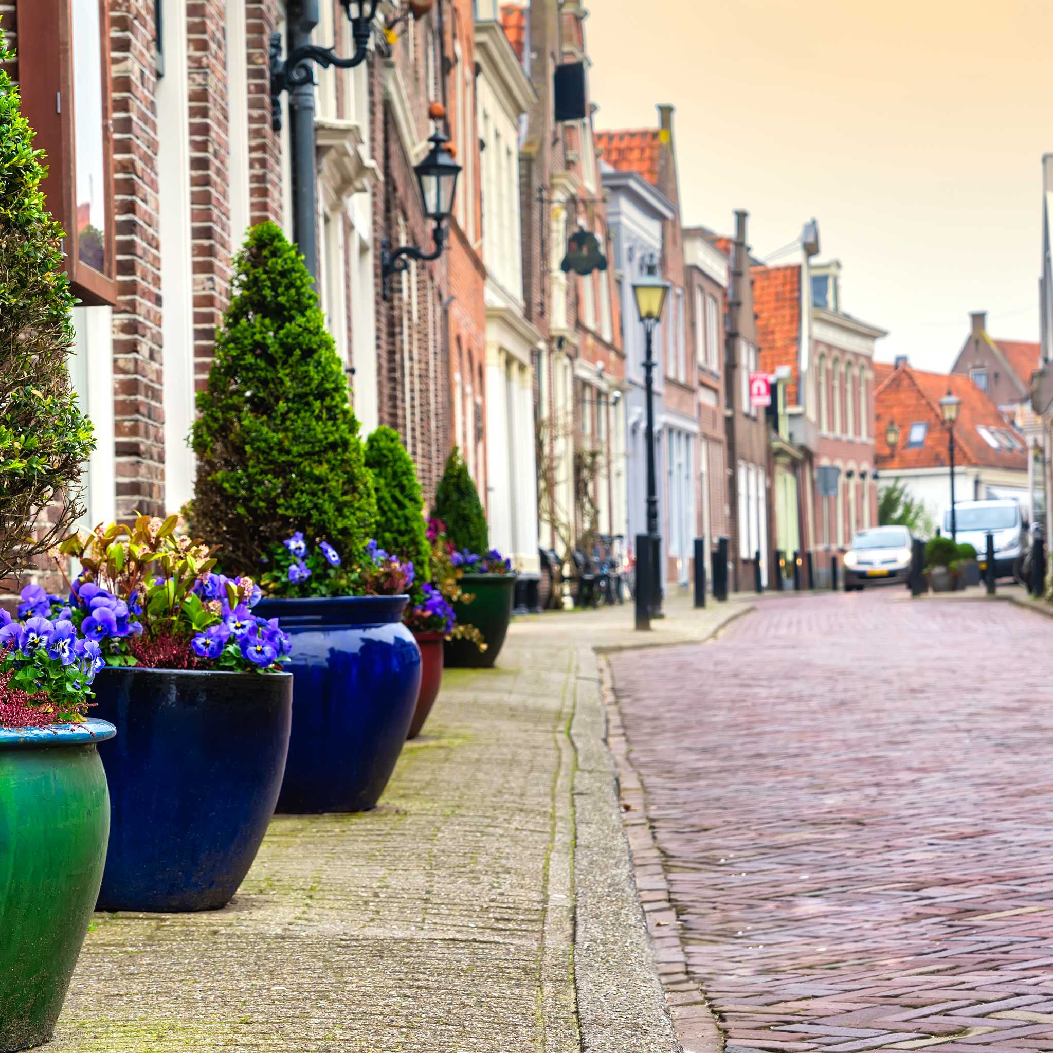 Terneuzen