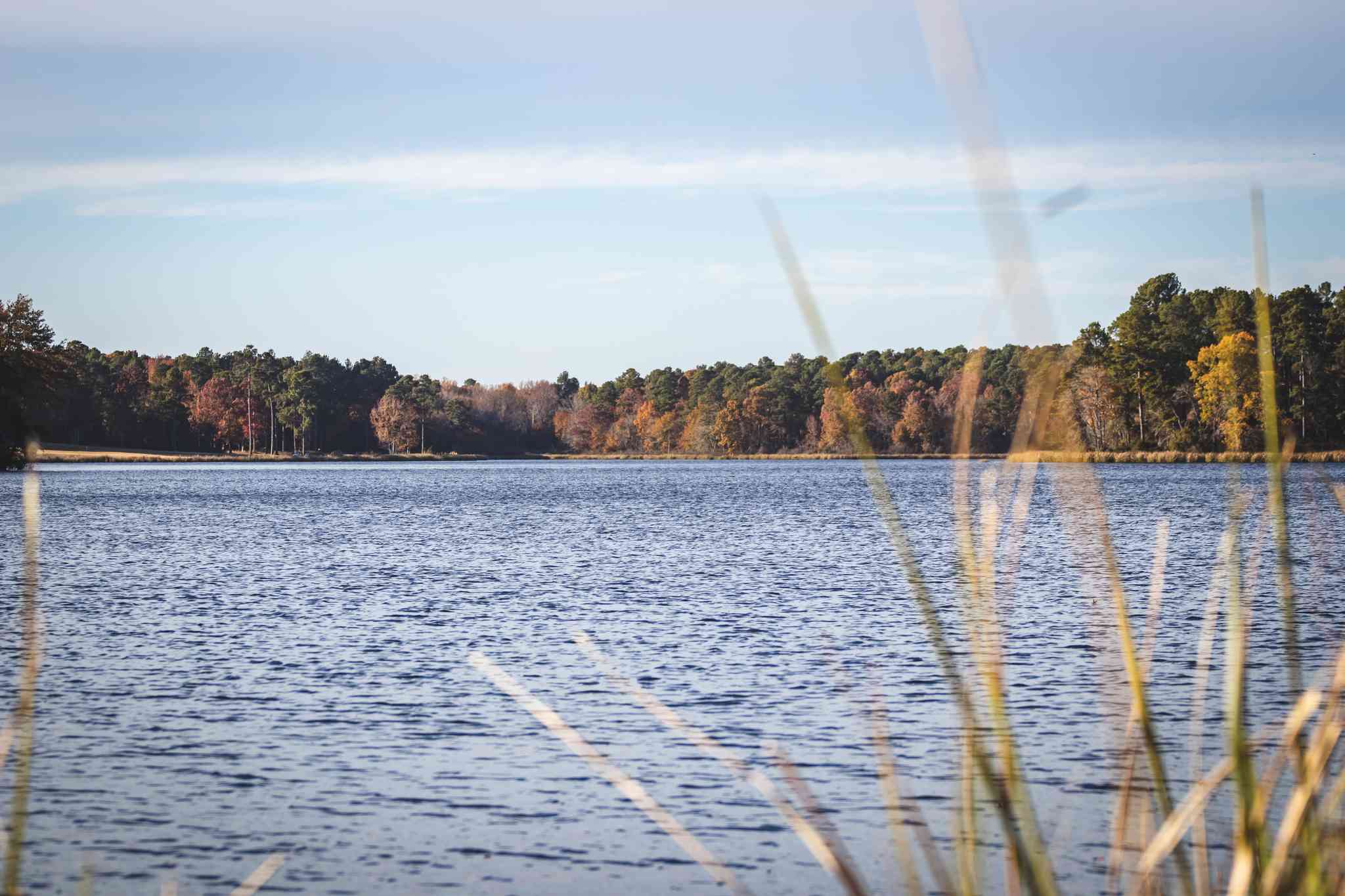 Scenic view of Texarkana, TX - private day trip from Atlanta, GA - photo 2