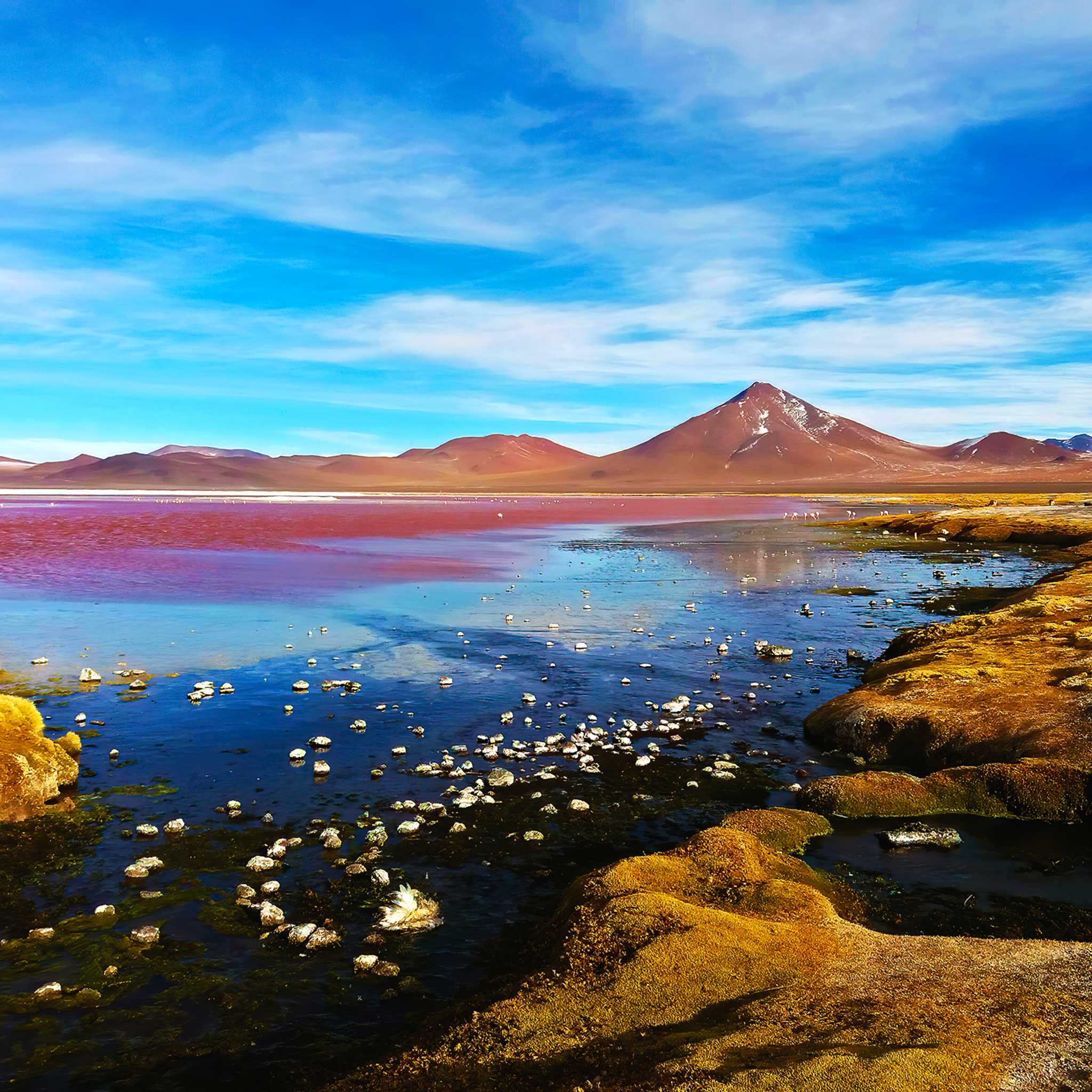 Las Coloradas