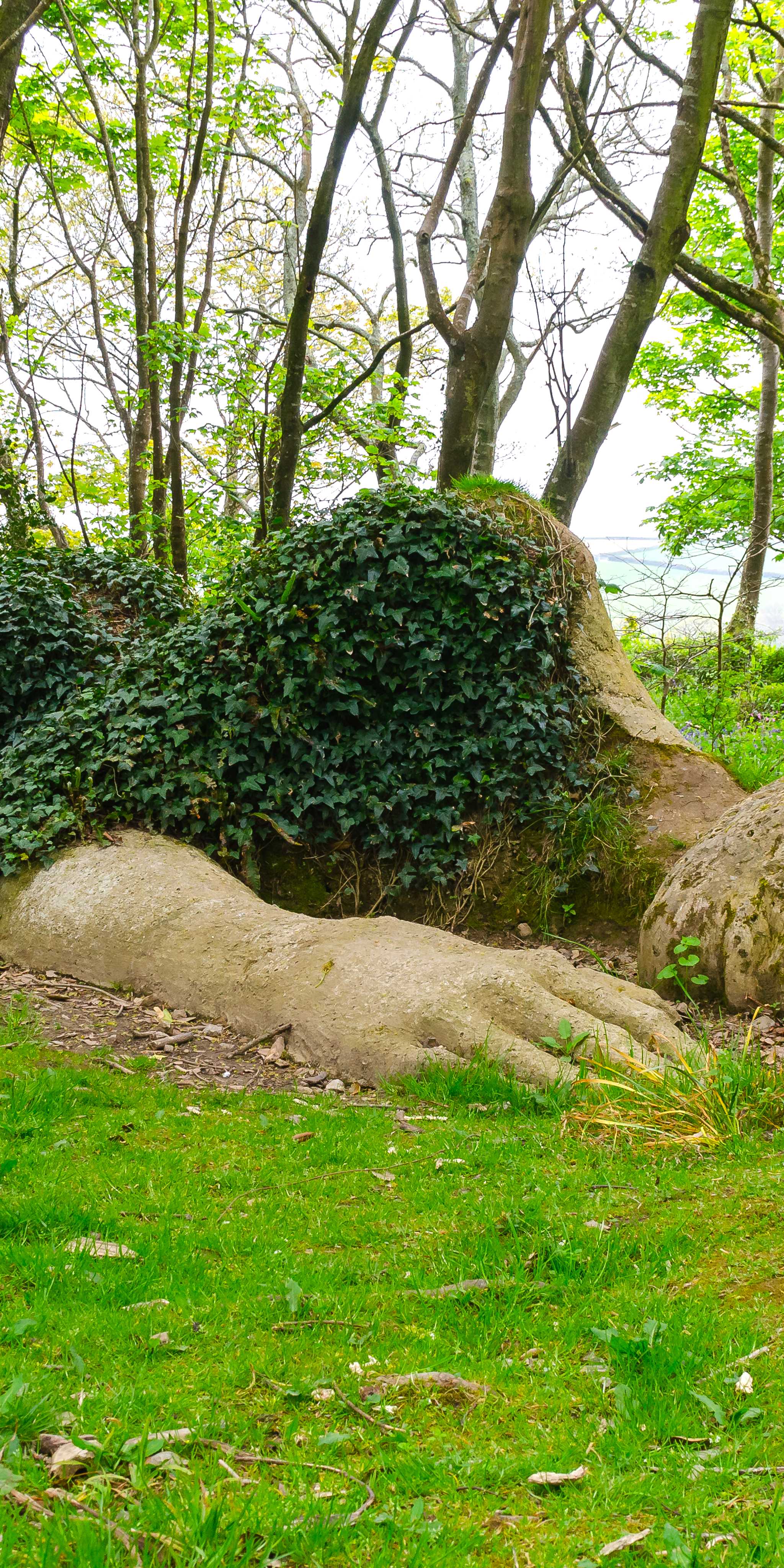 The Lost Gardens of Heligan