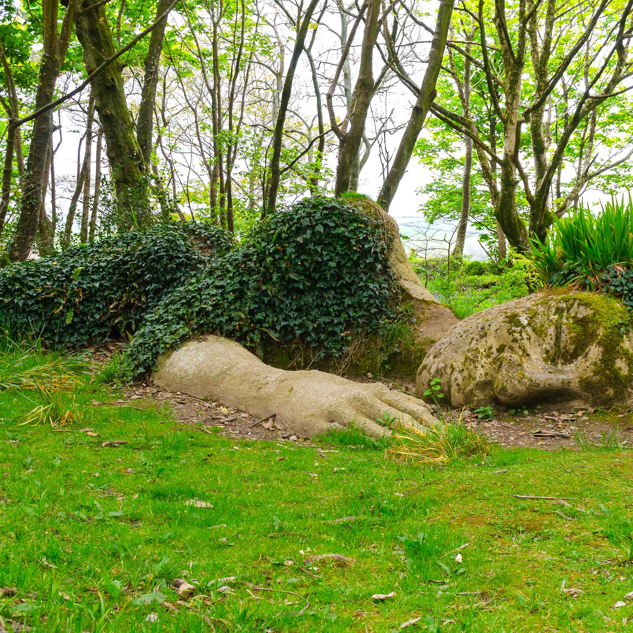 ํฌ๋ฆฌ๊ฑด์ ์์ด๋ฒ๋ฆฐ ์ ์