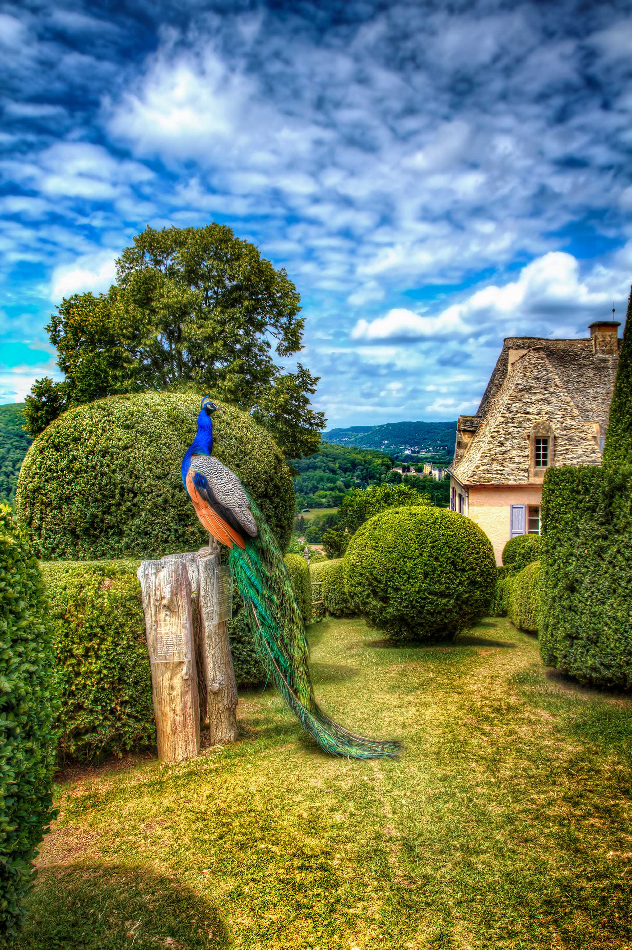 Servicios de traslado en coche privado en Los Jardines de Marqueyssac - vista panorámica de Los Jardines de Marqueyssac en Francia