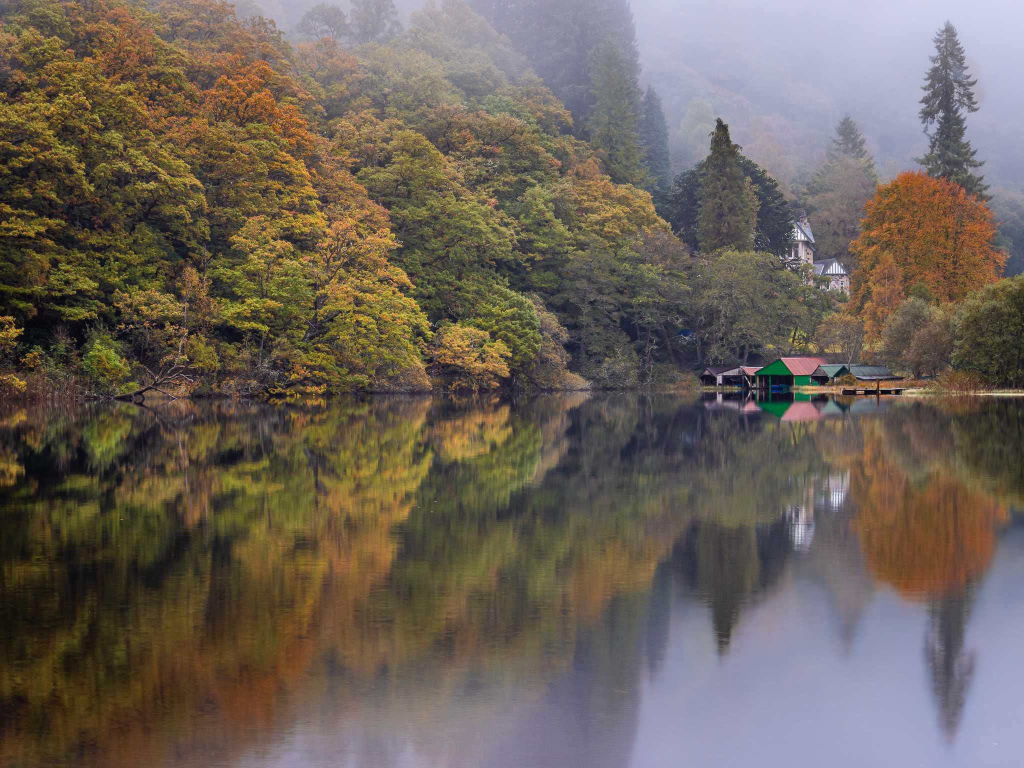 Large orange and red trees and a dock are mirrored in a lake during heavy fog.