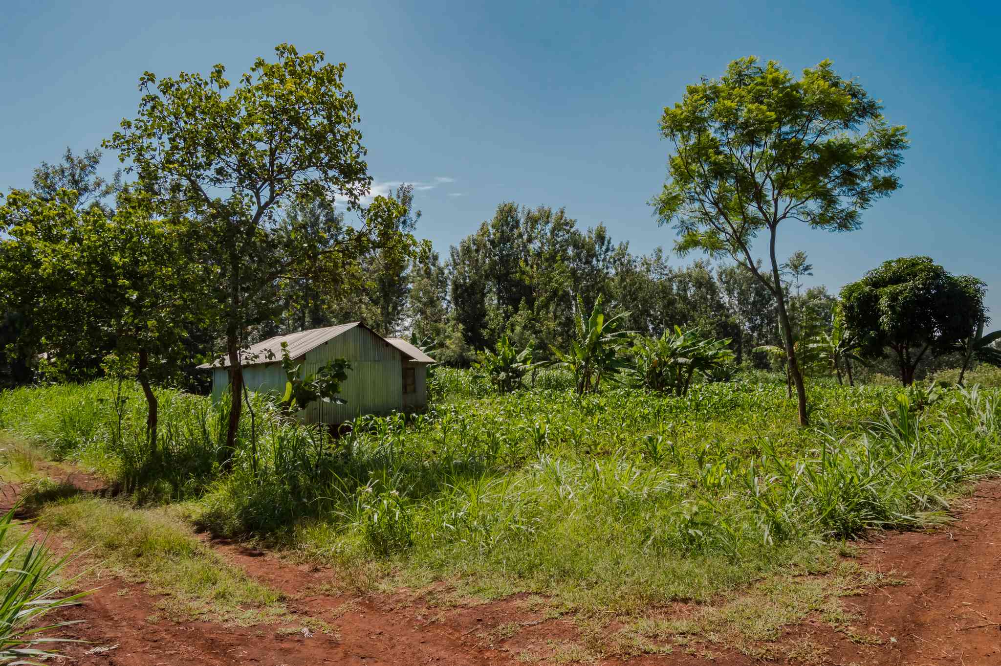 Vue pittoresque de Nairobi - excursion privée d'une journée depuis Thika - photo 4