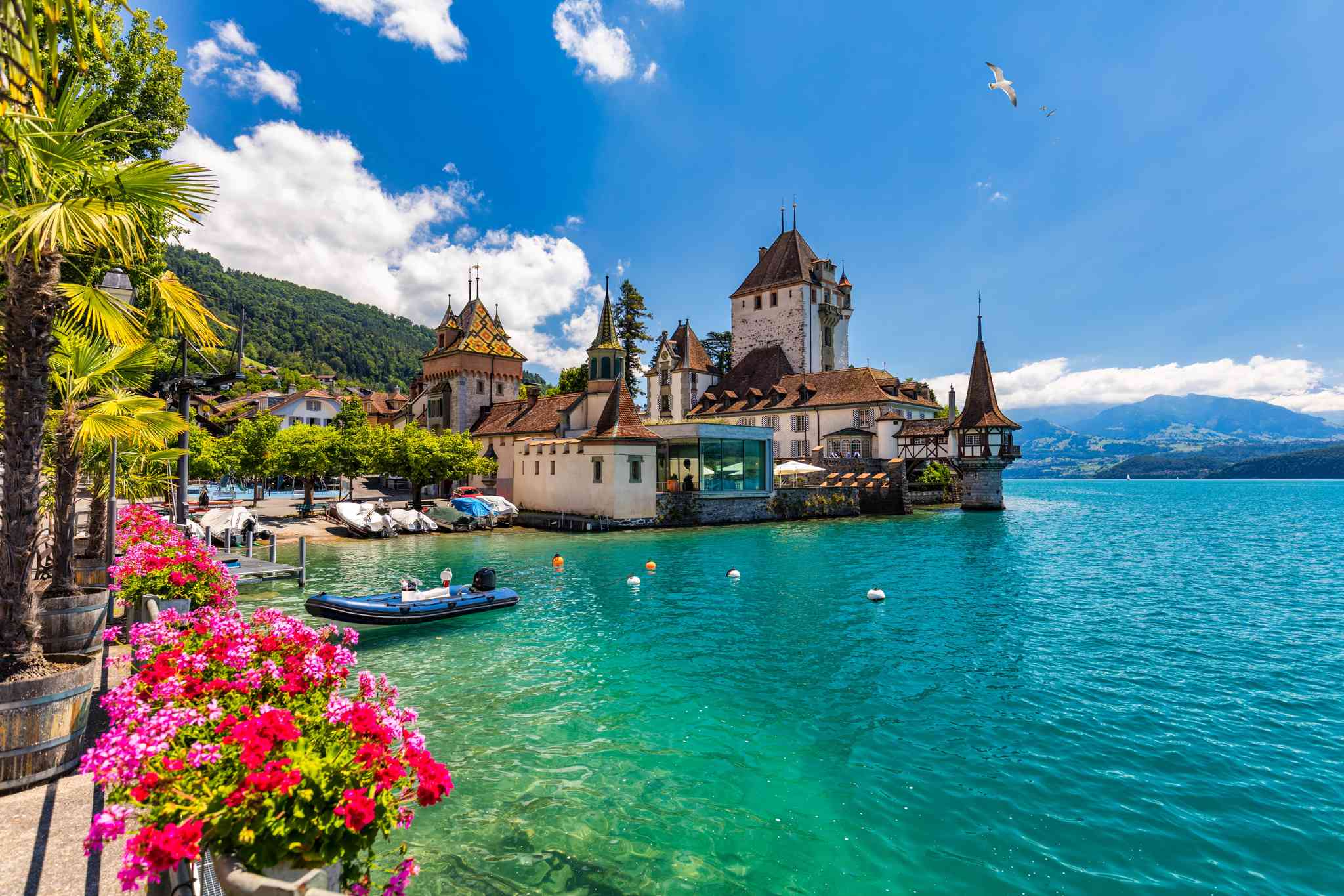 Scenic view of Thun - private day trip from Milan - photo 5