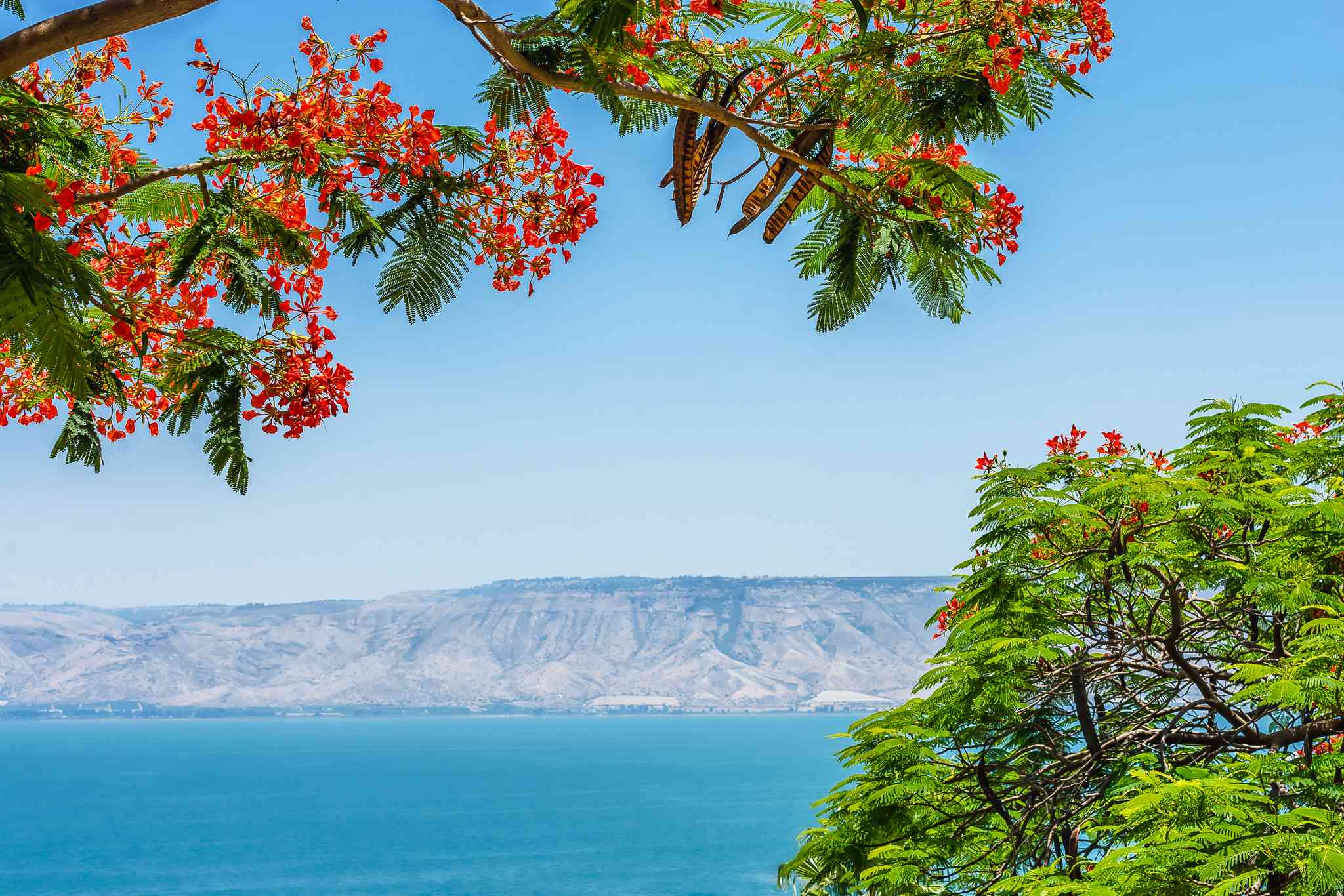 Blick auf die Landschaft von Tiberias - private Tagesreise von Jerusalem - Foto 2