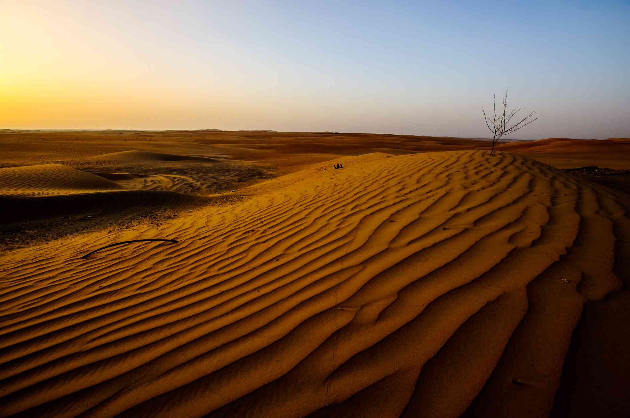 Vue pittoresque de Tilal Liwa - excursion privée d'une journée depuis Abu Dhabi - photo 2