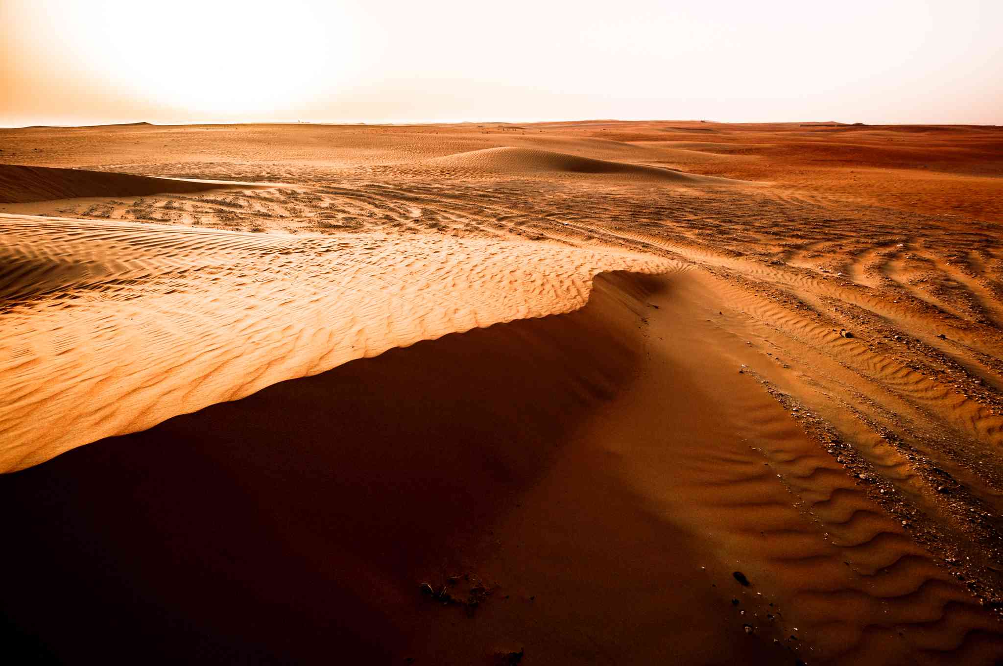 Vue pittoresque de Tilal Liwa - excursion privée d'une journée depuis Abu Dhabi - photo 3