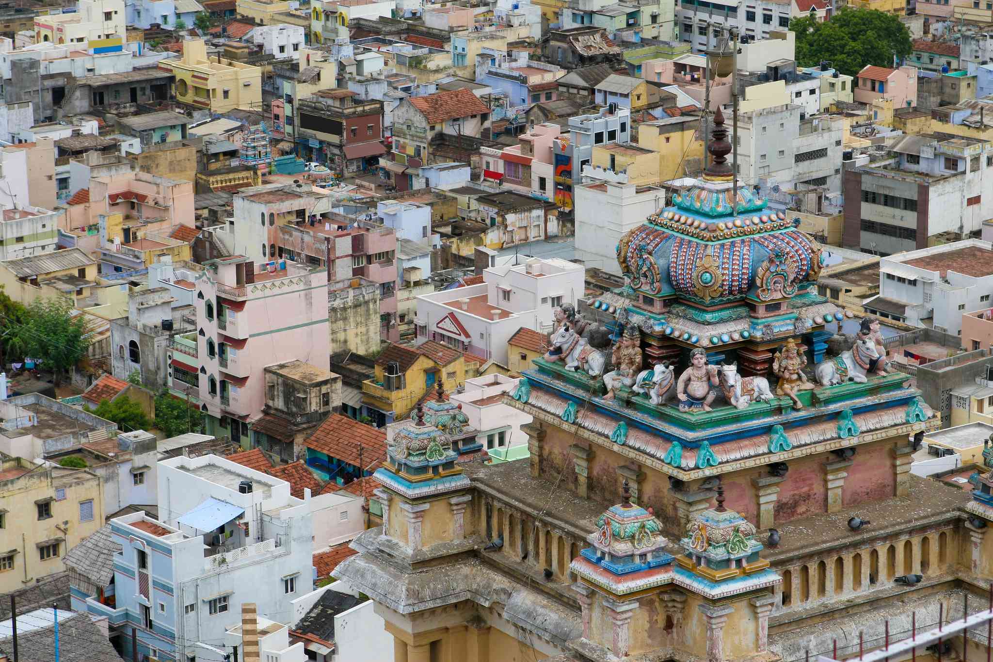 Vista cênica de Kochi - excursão particular de um dia de Tiruchirappalli - foto 6