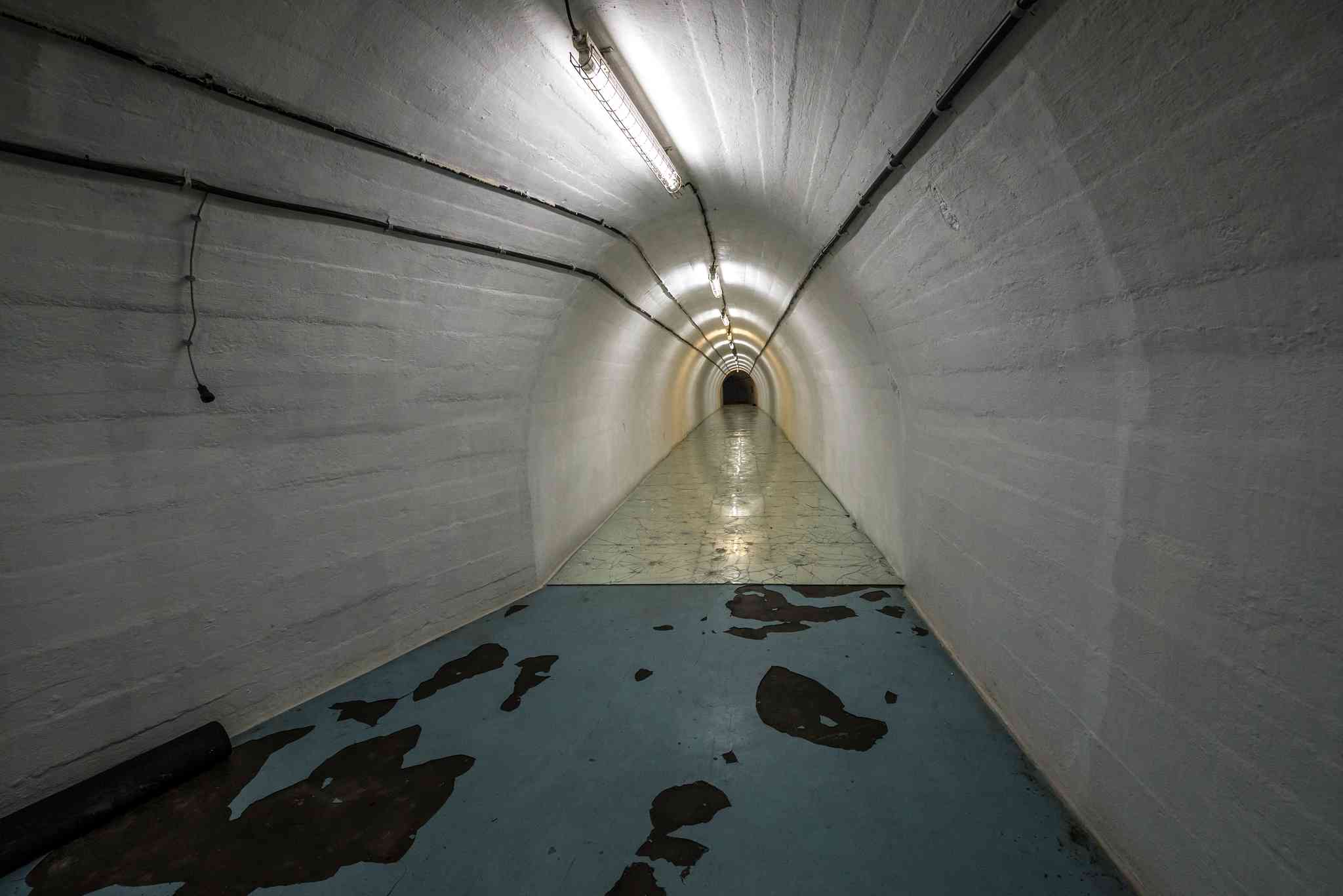 Tito's Bunker - ARK D-0