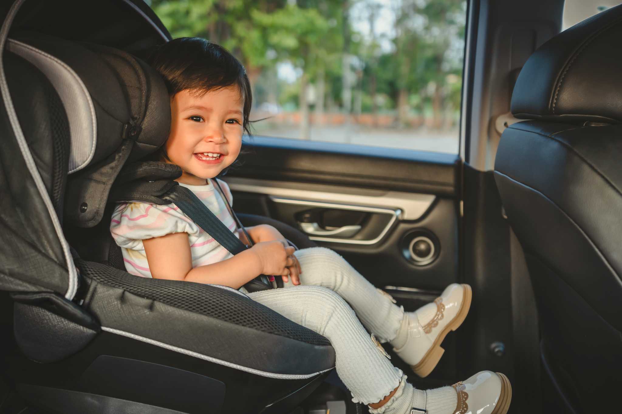 Tailored trips for toddlers - Private transfers by Daytrip