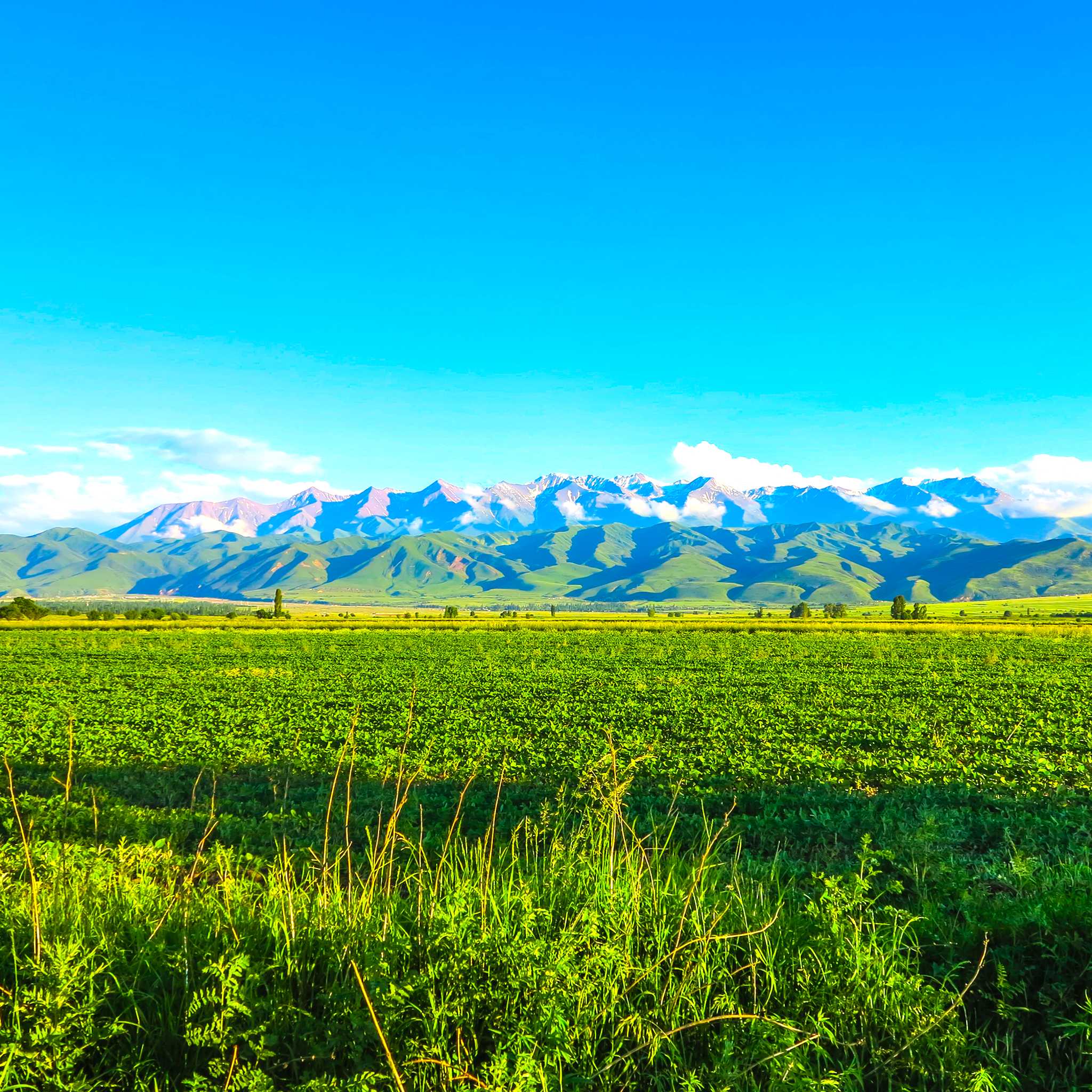 Private car transfers in Kyrgyzstan from Tokmok