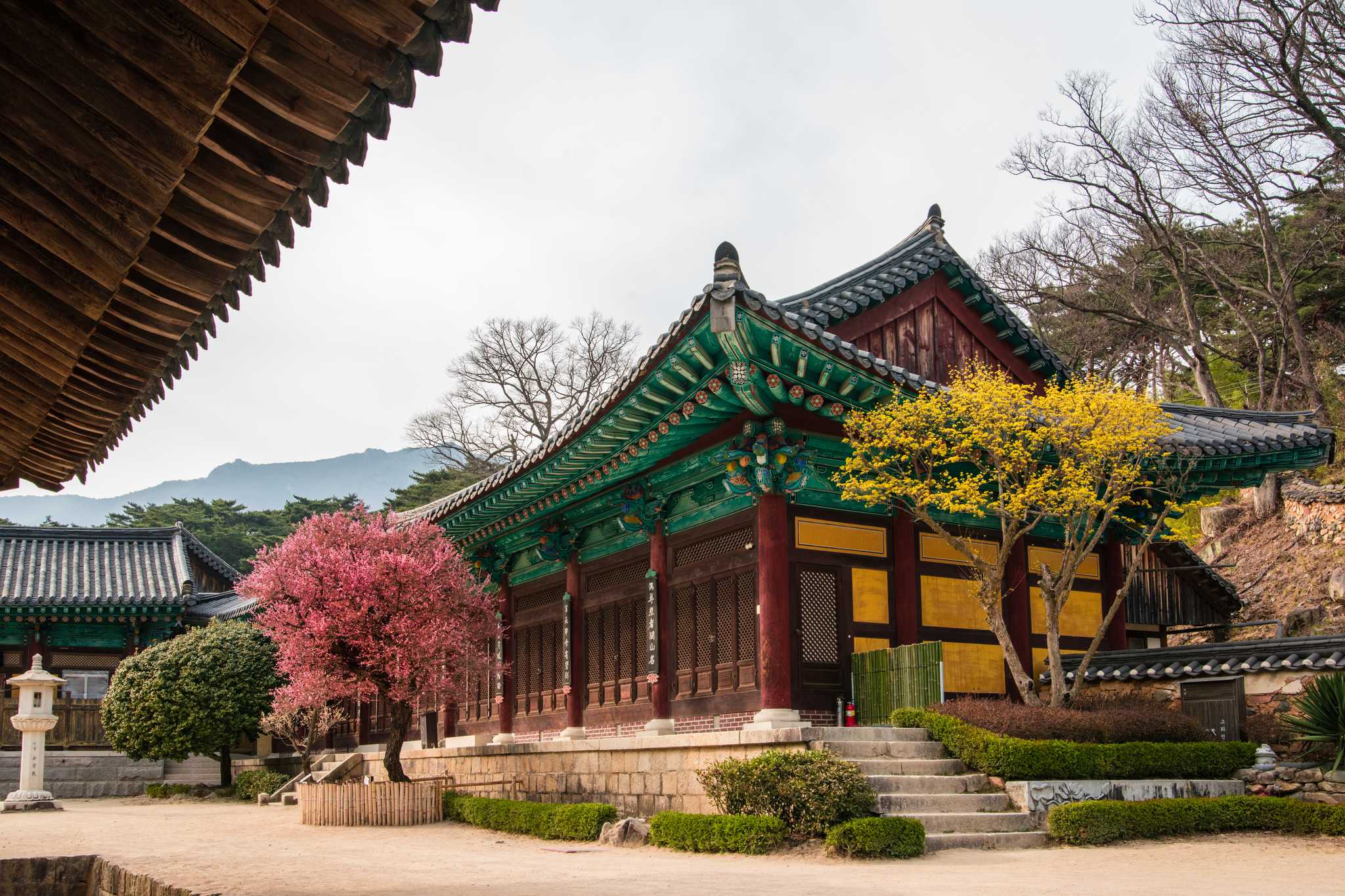 Servicios de traslado en coche privado en Templo Tongdosa - vista panorámica de Templo Tongdosa en Corea del Sur